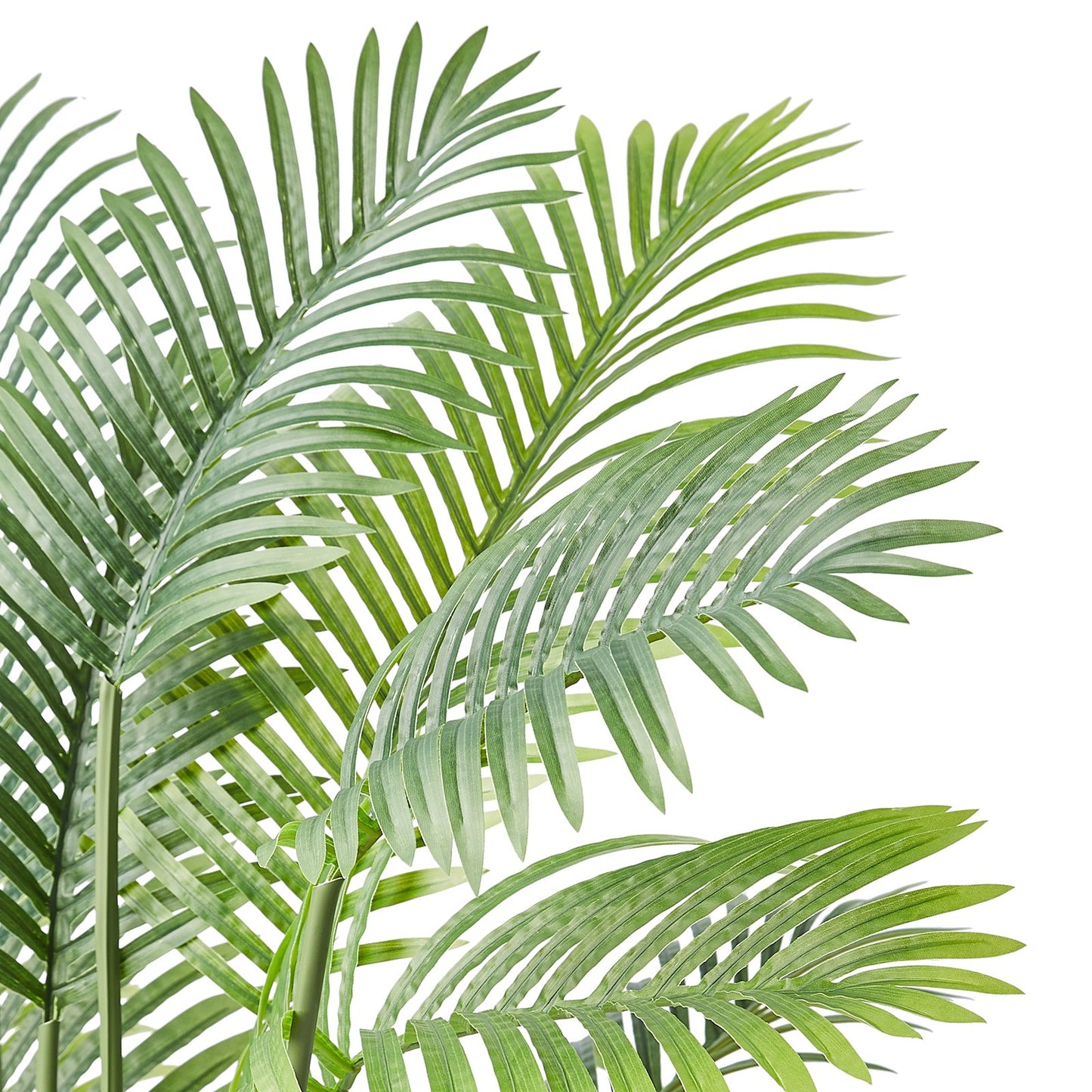 Lifelike 5 ft. tall artificial Betel Nut Palm trees made from high-quality PE material with adjustable branches. Set of 2, ideal for indoor and outdoor decoration. Features realistic leaves, trunk patterns, and moss-covered potting soil.

