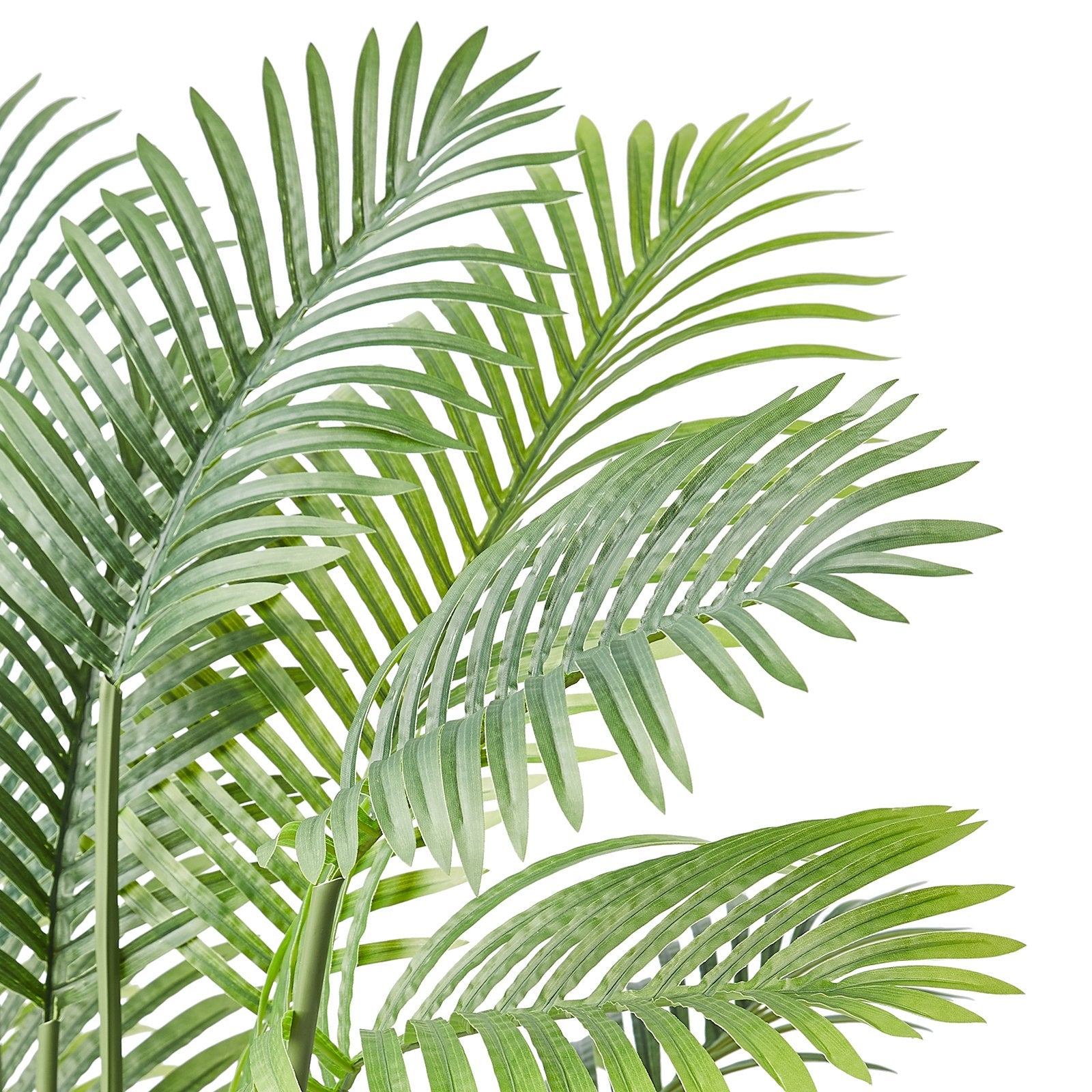 Lifelike 5 ft. tall artificial Betel Nut Palm trees made from high-quality PE material with adjustable branches. Set of 2, ideal for indoor and outdoor decoration. Features realistic leaves, trunk patterns, and moss-covered potting soil.

