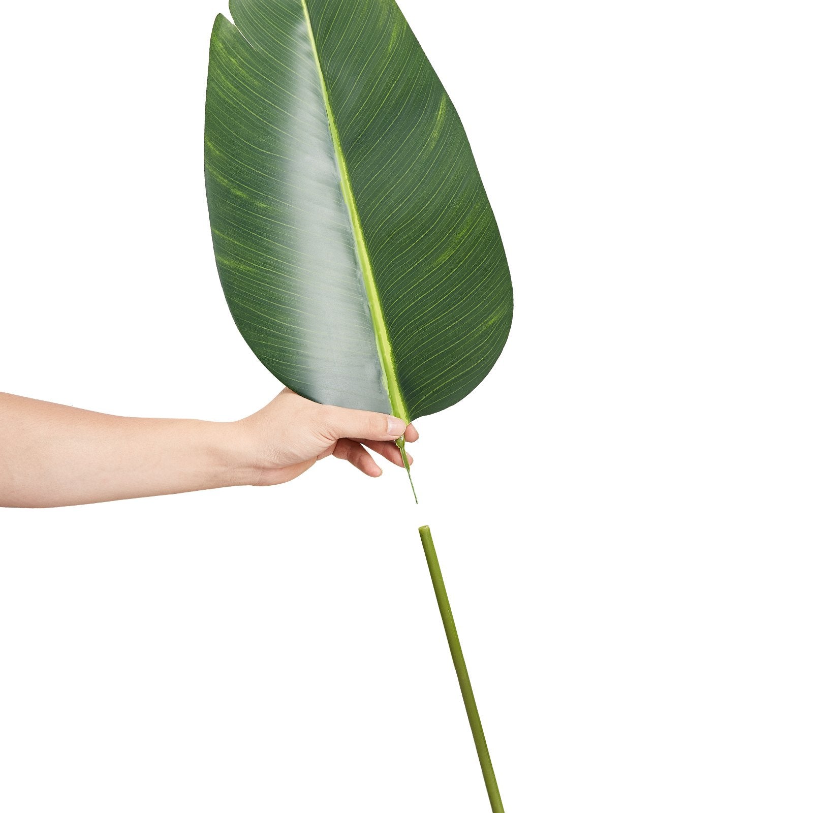 152 cm Artificial Bird of Paradise Palm Tree with lifelike foliage, adjustable branches, and a sturdy black pot. Perfect for adding tropical elegance to any space.






