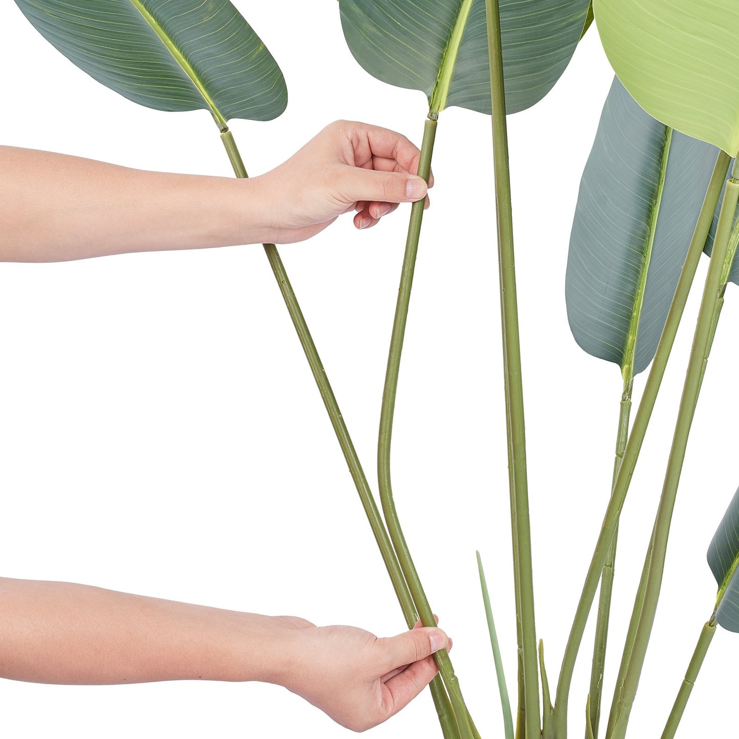 152 cm Artificial Bird of Paradise Palm Tree with lifelike foliage, adjustable branches, and a sturdy black pot. Perfect for adding tropical elegance to any space.






