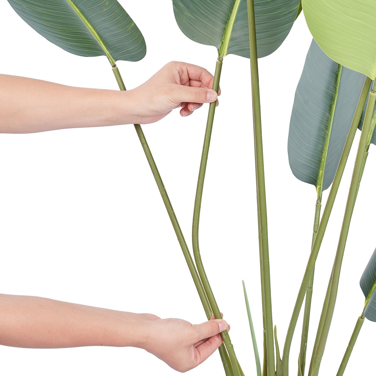 152 cm Artificial Bird of Paradise Palm Tree with lifelike foliage, adjustable branches, and a sturdy black pot. Perfect for adding tropical elegance to any space.






